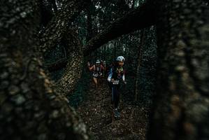 BIB: 
                            <button type="button" onclick="openModal(25688468)" class="btn btn-primary btn-sm float-right btn-popup" data-toggle="modal" data-target=".modal-high-quality">
                        <i class="fas fa-shopping-cart"></i> Add to Cart
                    </button>
                                            <button type="button" onclick="isThisMe(25688468, true)" class="btn btn-success btn-sm float-right btn-popup btn-isme hidden" data-toggle="tooltip" data-placement="bottom" title="นี่คือรูปของคุณใช่ไหม คลิกที่นี่เพื่อเอาเข้าอัลบั้ม">
                        <i class="fas fa-plus"></i> Add to album
                    </button>
                    <button type="button" onclick="isThisMe(25688468, false)" class="btn btn-warning btn-sm float-right btn-popup btn-isnotme hidden">
                        <i class="fas fa-ban"></i> Remove from album
                    </button>